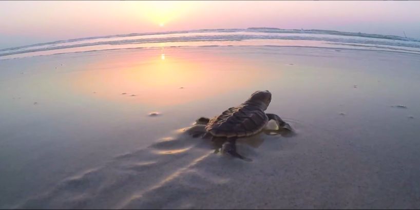 首页-PA真人集团有限公司官网