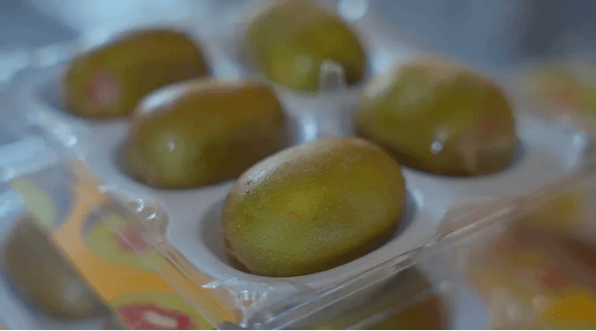 首页-PA真人集团有限公司官网