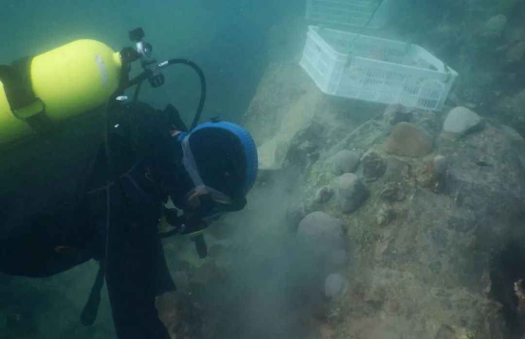 首页-PA真人集团有限公司官网