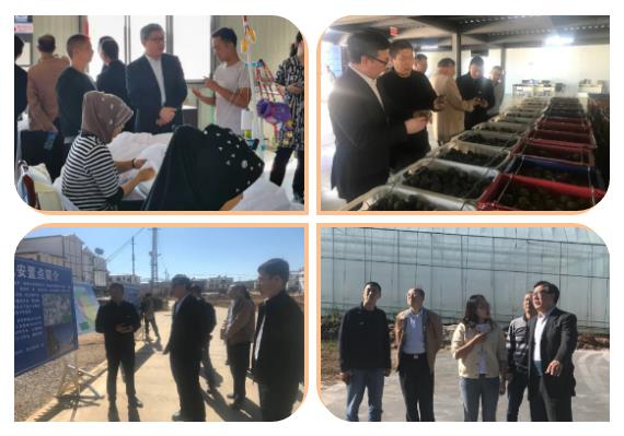 首页-PA真人集团有限公司官网