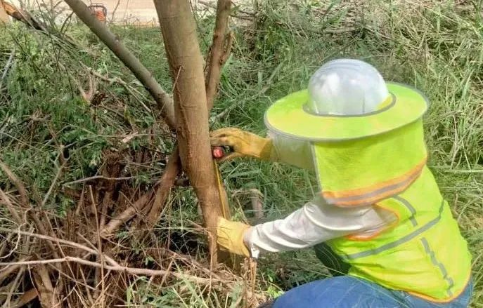 首页-PA真人集团有限公司官网
