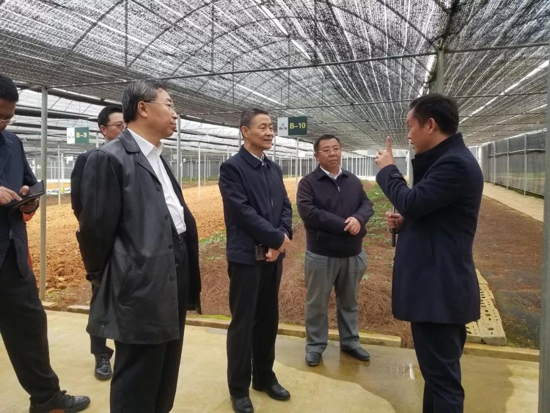 首页-PA真人集团有限公司官网