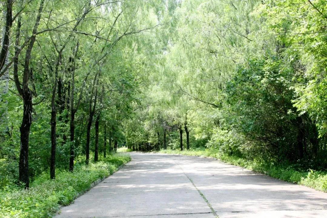 首页-PA真人集团有限公司官网