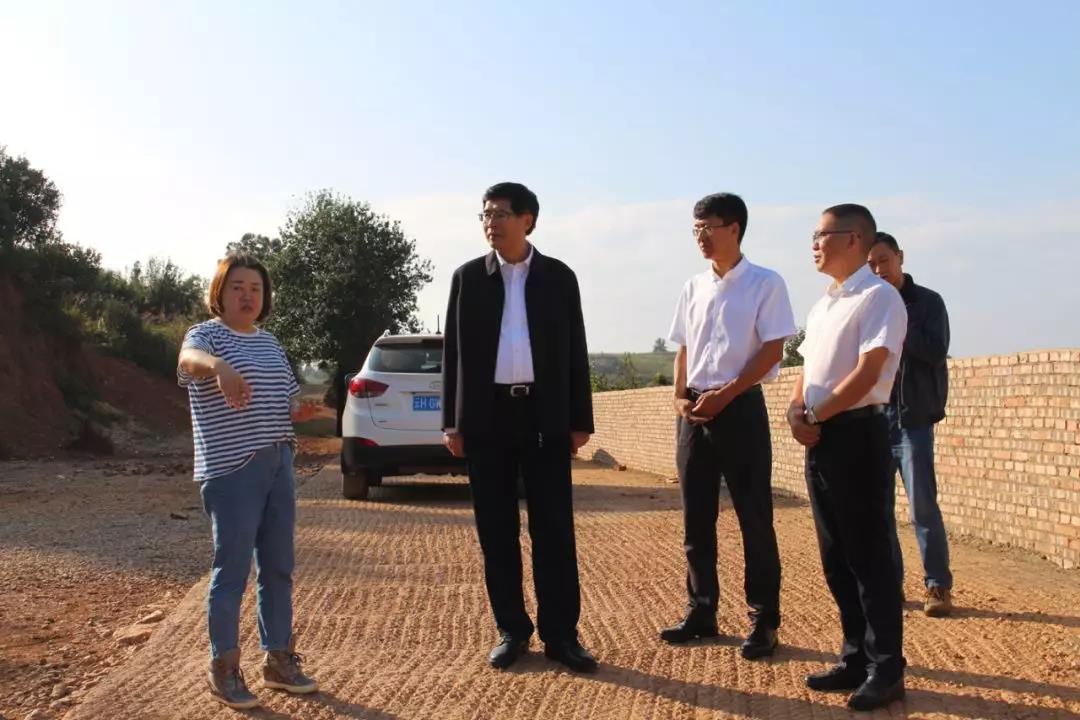 首页-PA真人集团有限公司官网