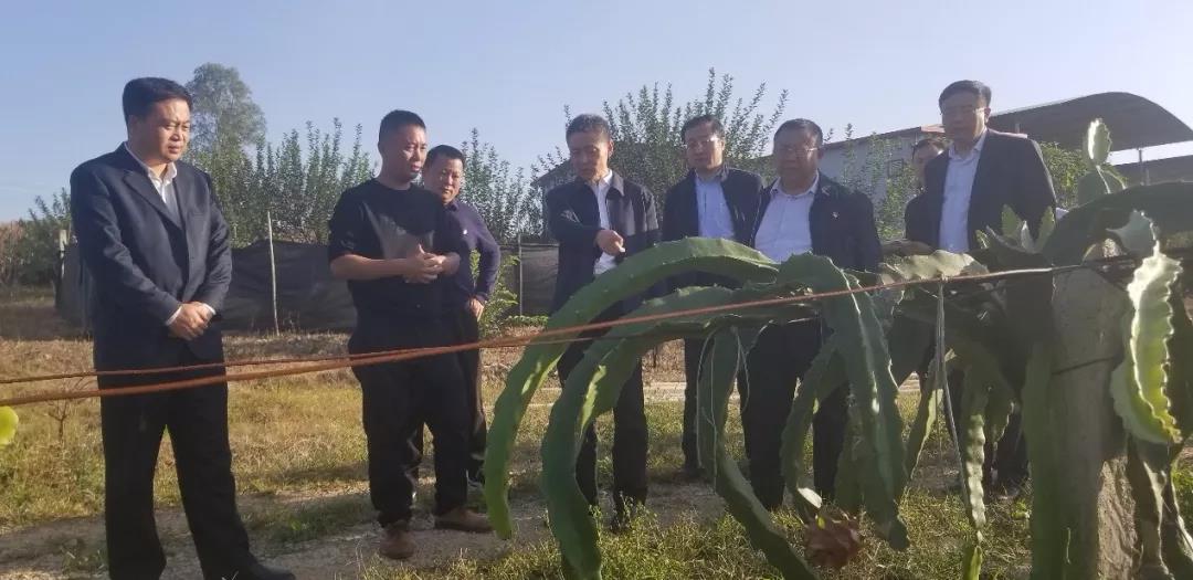 首页-PA真人集团有限公司官网