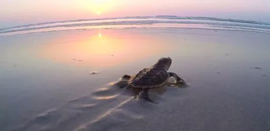 首页-PA真人集团有限公司官网