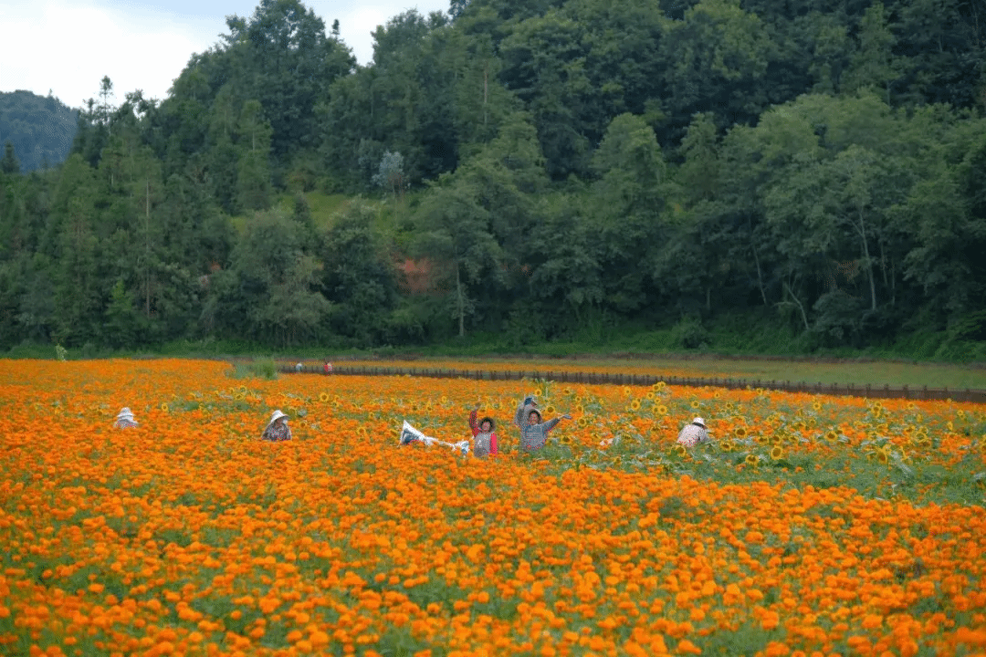 首页-PA真人集团有限公司官网