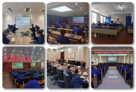 首页-PA真人集团有限公司官网