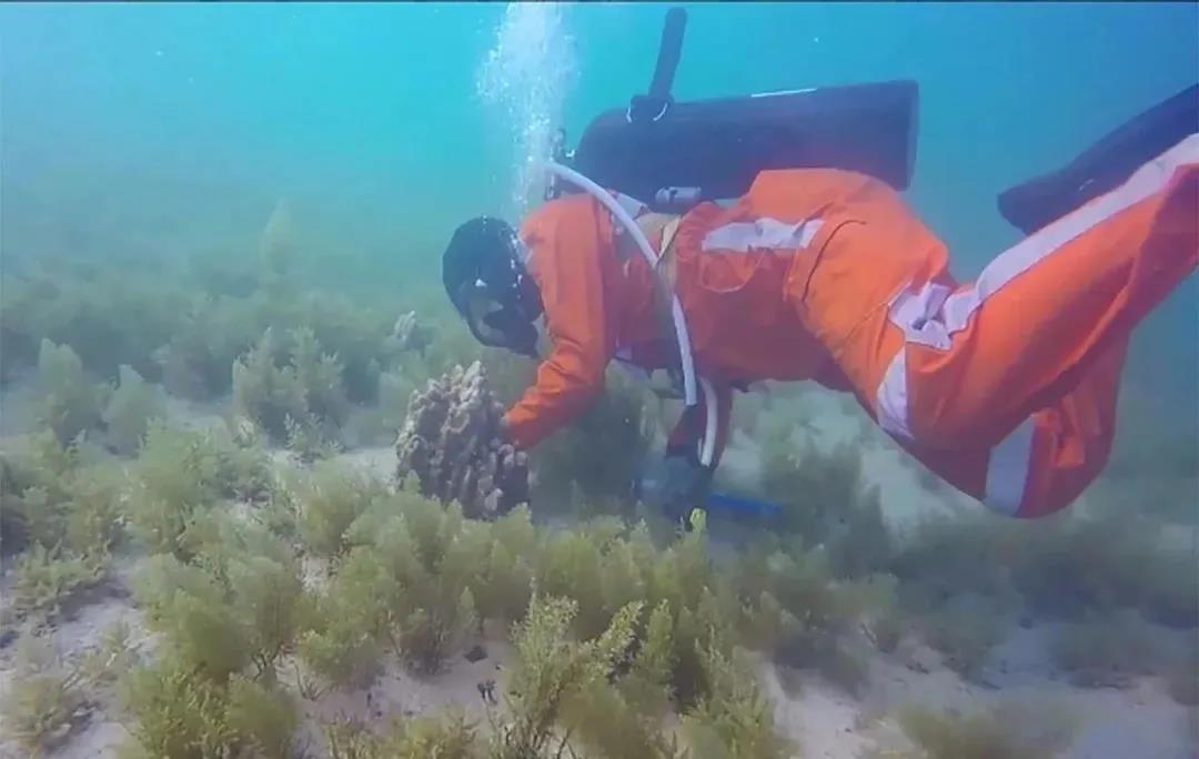 首页-PA真人集团有限公司官网